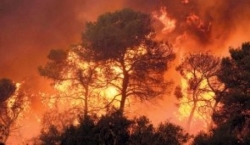 2010 Carmel ''consuming fire'' - Seraphim (AFP photo)